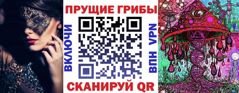 Псилоцибиновые грибы GOLDEN TEACHER  OMG как зайти  Острогожск  цены  